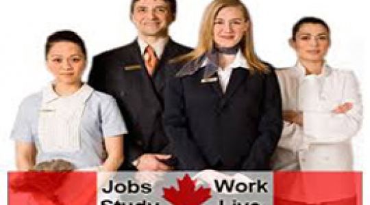 Quy định làm việc cho sinh viên du học tại Canada